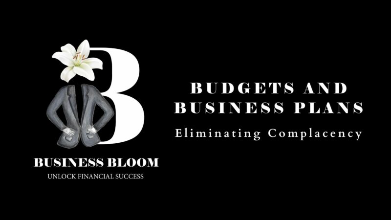 Budgets and Business Plans