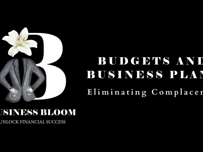 Budgets and Business Plans