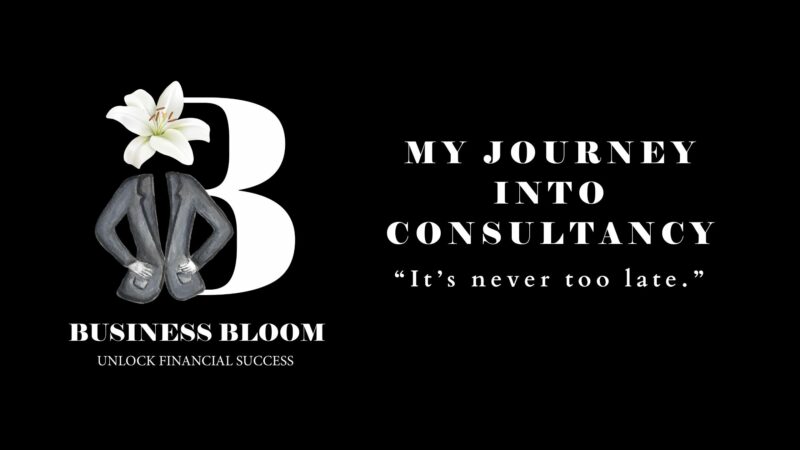MY JOURNEY INTO CONSULTANCY